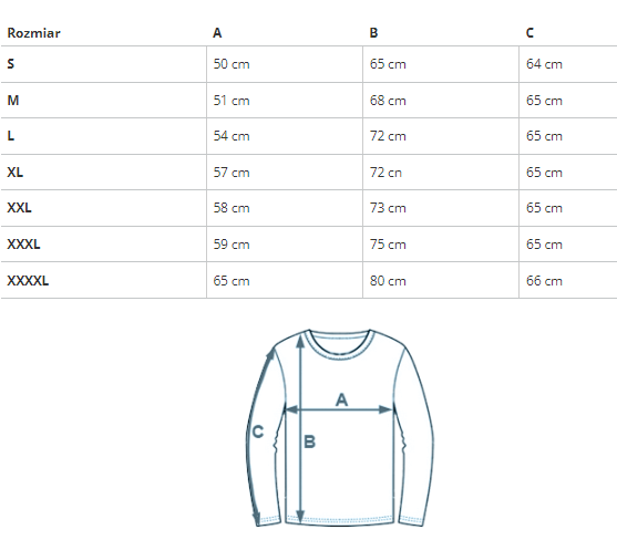 Sveter U.S. POLO ASSN.