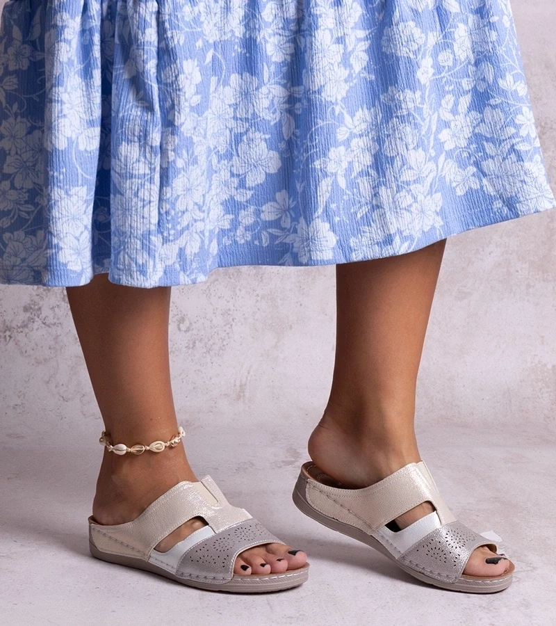 Gemre Papuci bej luciosi Saminar