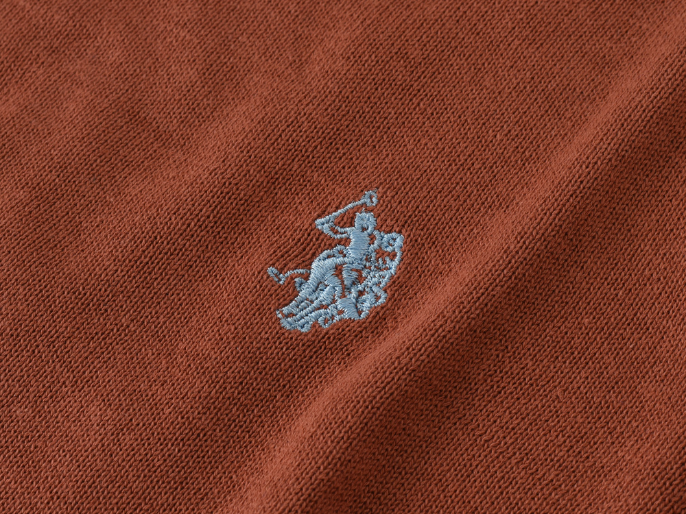 Sveter U.S. POLO ASSN.