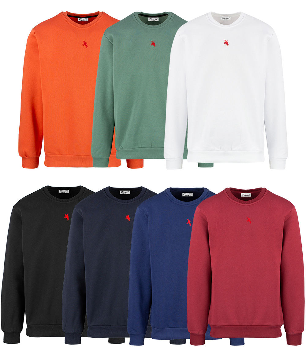 Pri Men's warm sweatshirt with ozodbone embroidery