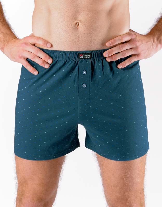 Men's Briefs Gino Petrol