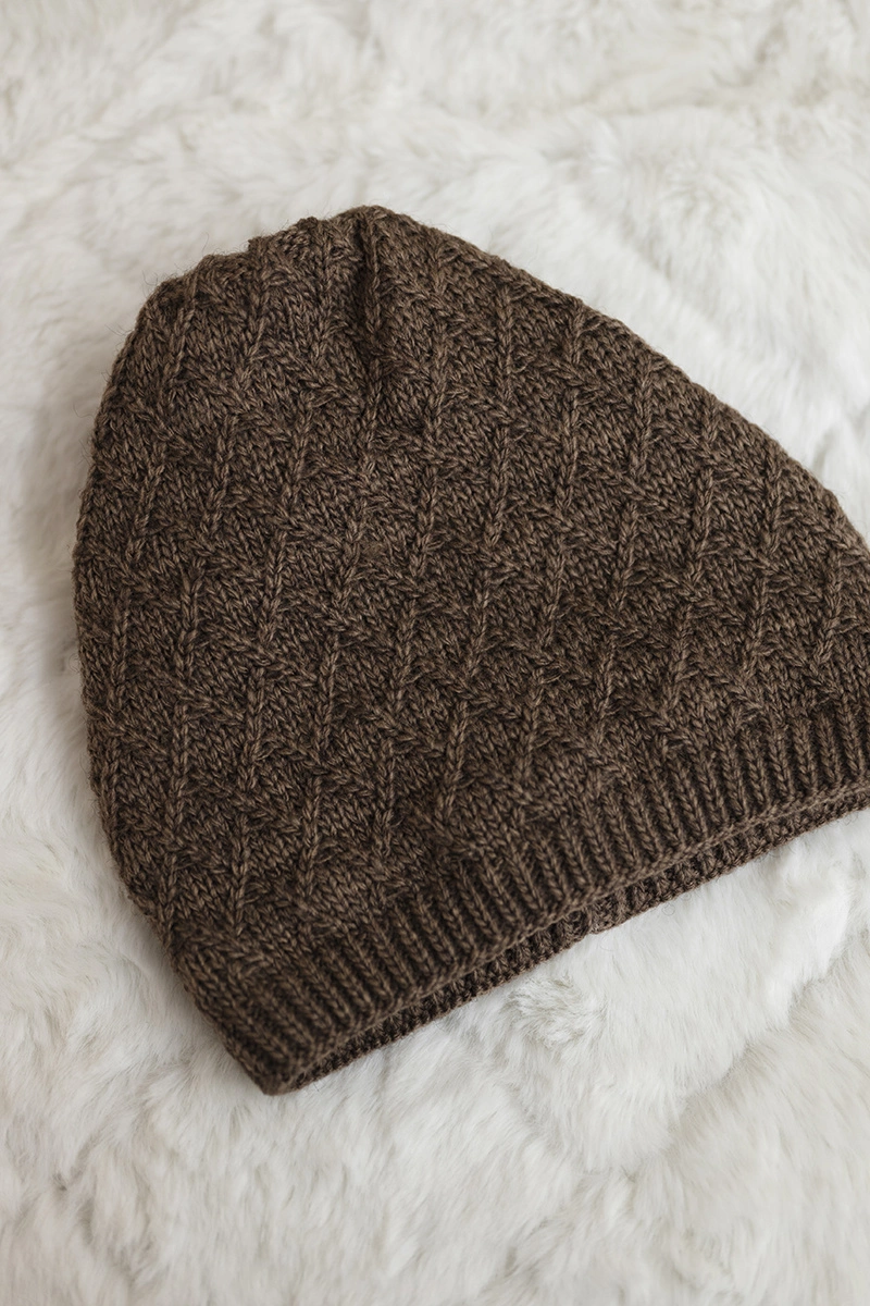 Kesi Cap with fleece Kratka K204 brown