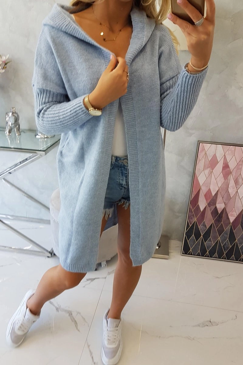 Blue hooded sweater