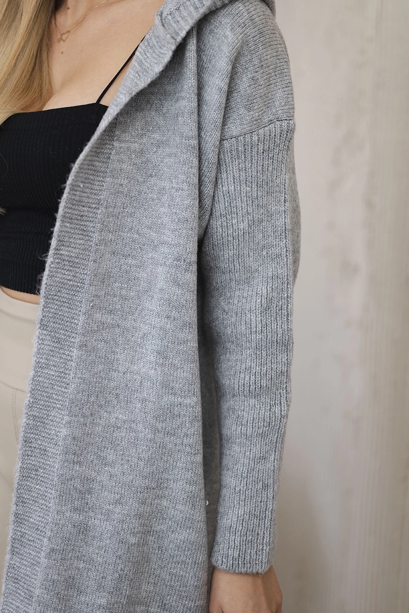 Hooded sweater in gray