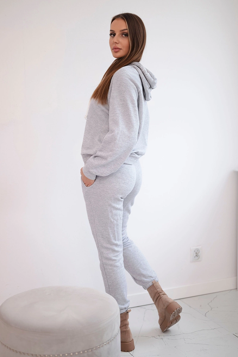 Hoodie in grey color